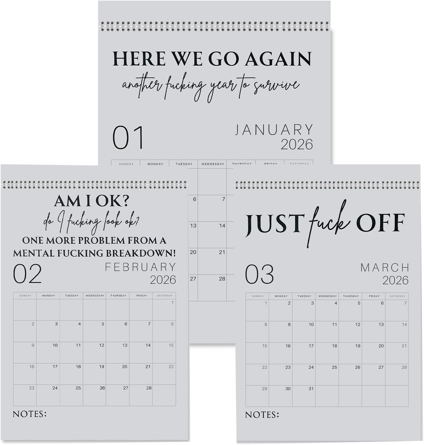 🔥LAST DAY 50% OFF - 😈🗓️The 2026 "F*ck It" Calendar - A Year of Unfiltered Liberation ✨
