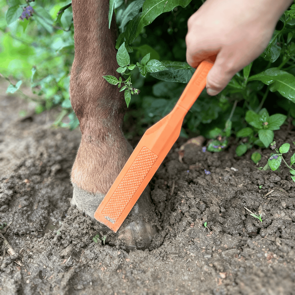 HoofWand Horse Hoof Cleaning Tool